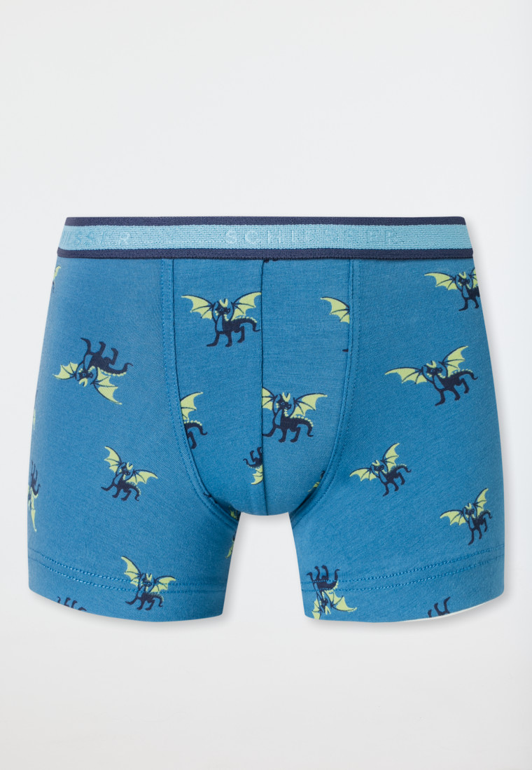 Shorts 3er-Pack Organic Cotton Webgummibund Streifen und Drachenprint - 95/5