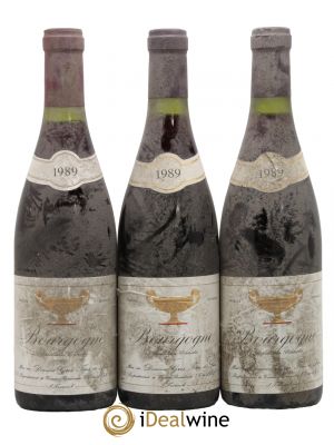 Bourgogne Gros Frère & Soeur  1989 - Lot de 3 Bouteilles