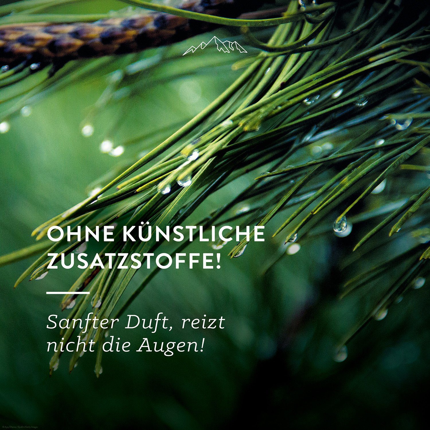 Allgäuquelle Raumduft Bio AirSpray Allgäuer Naturluft Raumduft (1 x 100ml), mit Zirbelkiefer, Lorbeer, Fichte und Kiefer