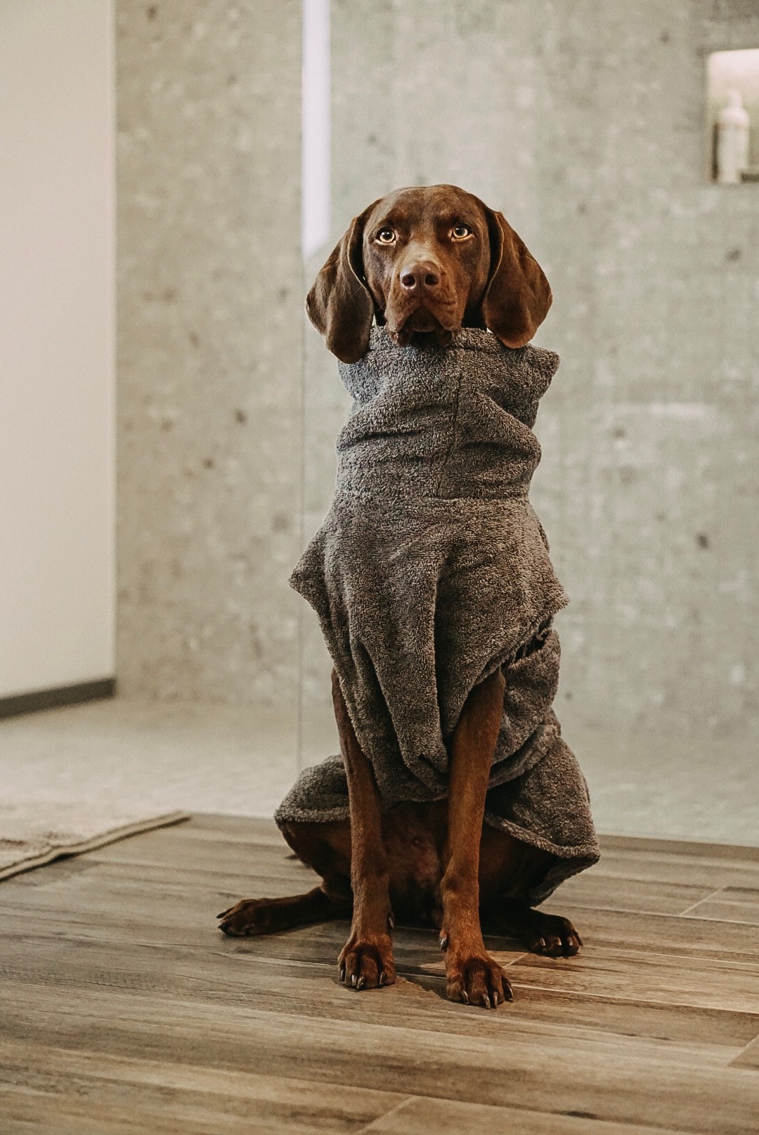 Lills Hundemäntel Lills Lill's Hundebademantel 