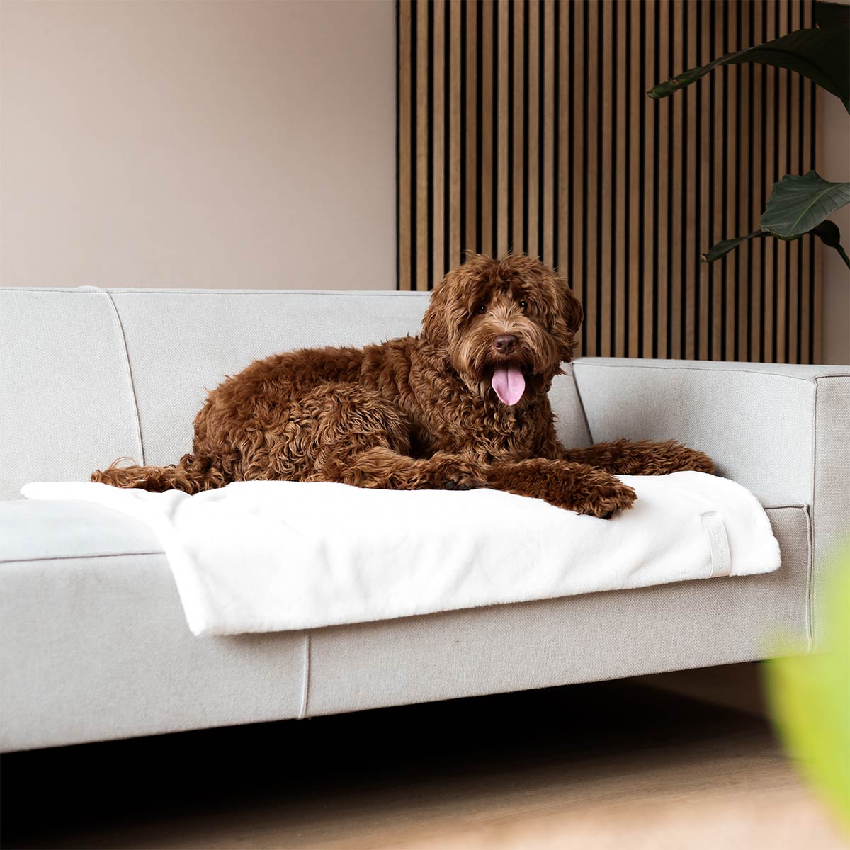 District 70 Hundedecke NUZZLE merengue 100x70cm