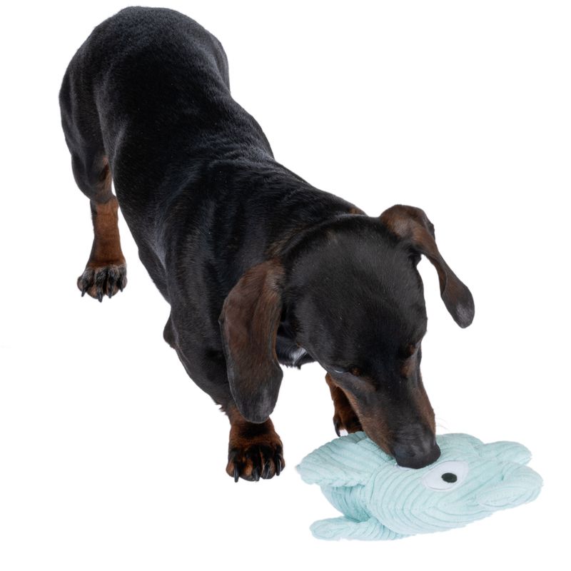 TIAKI Hundespielzeug Eli Corduroy zu TOP-Preisen