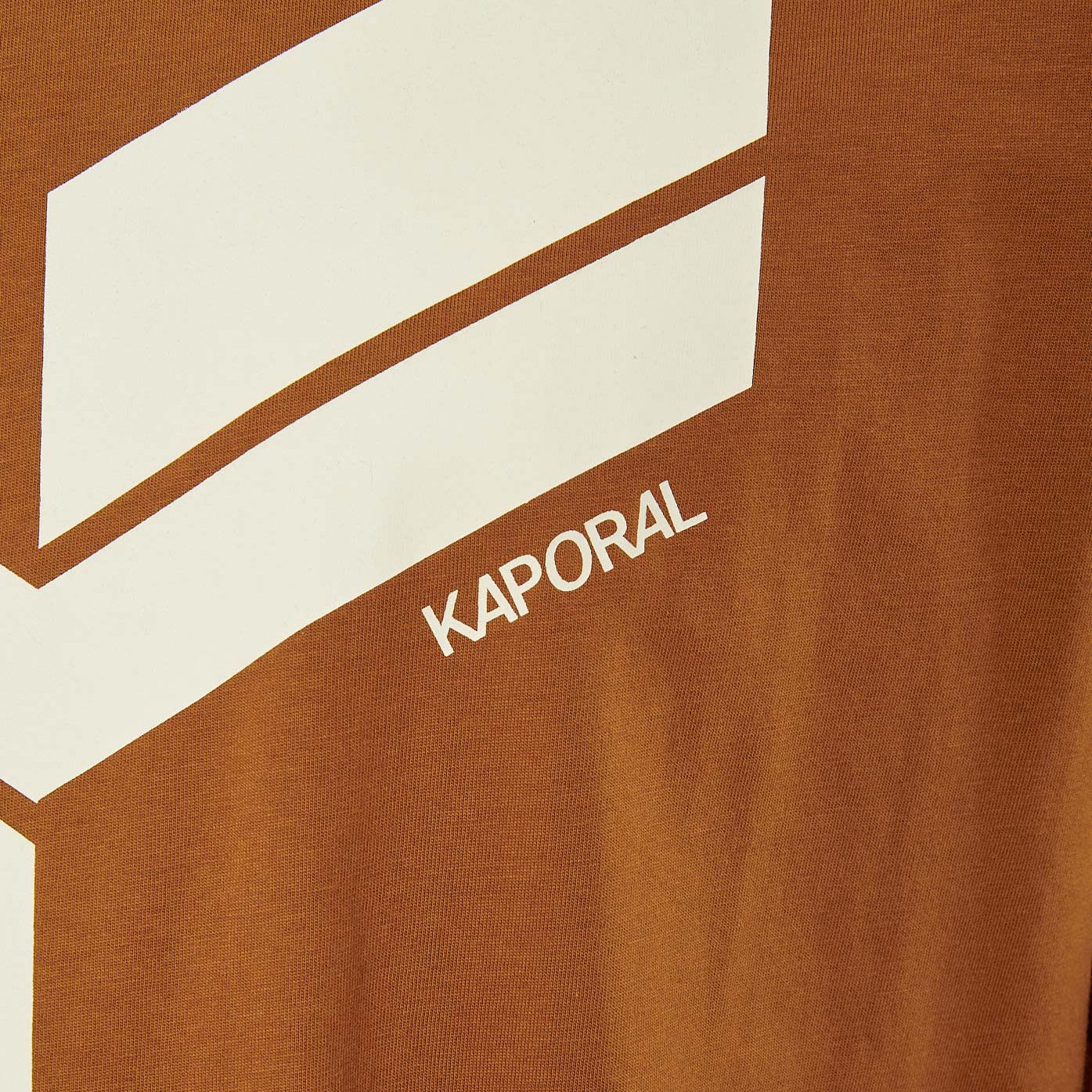 BRYZO  T-shirt marron homme 100% coton