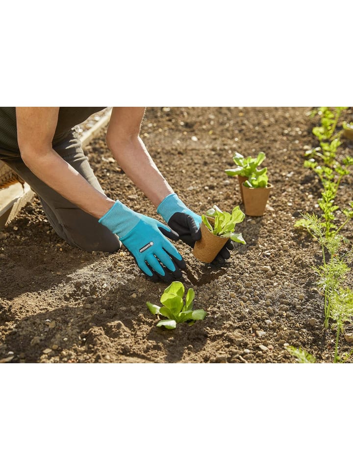 Gardena Pflanz- und Bodenhandschuh Größe L Gartenarbeit günstig kaufen onesize
