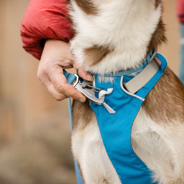 FLAGLINE HARNESS - Hundezubehör