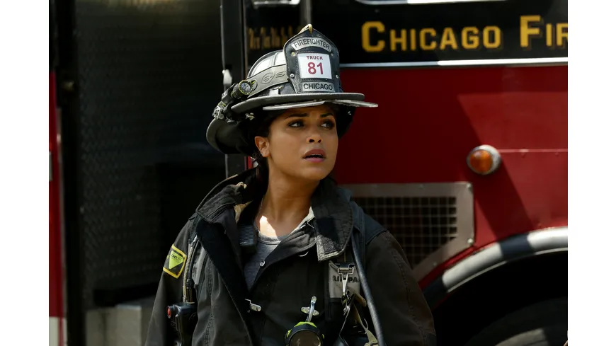 Chicago Fire - Staffel 4  [6 DVDs]