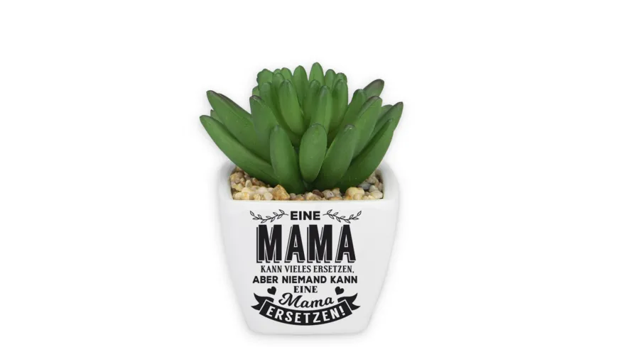 H&H Sukkulenten - Mama