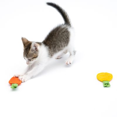 TIAKI Katzenspielzeug-Set Knisternde Früchte