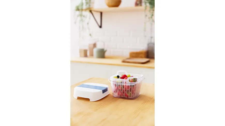 rotho Fresh Dynamic Box horizon blue 1,6l horizon blue