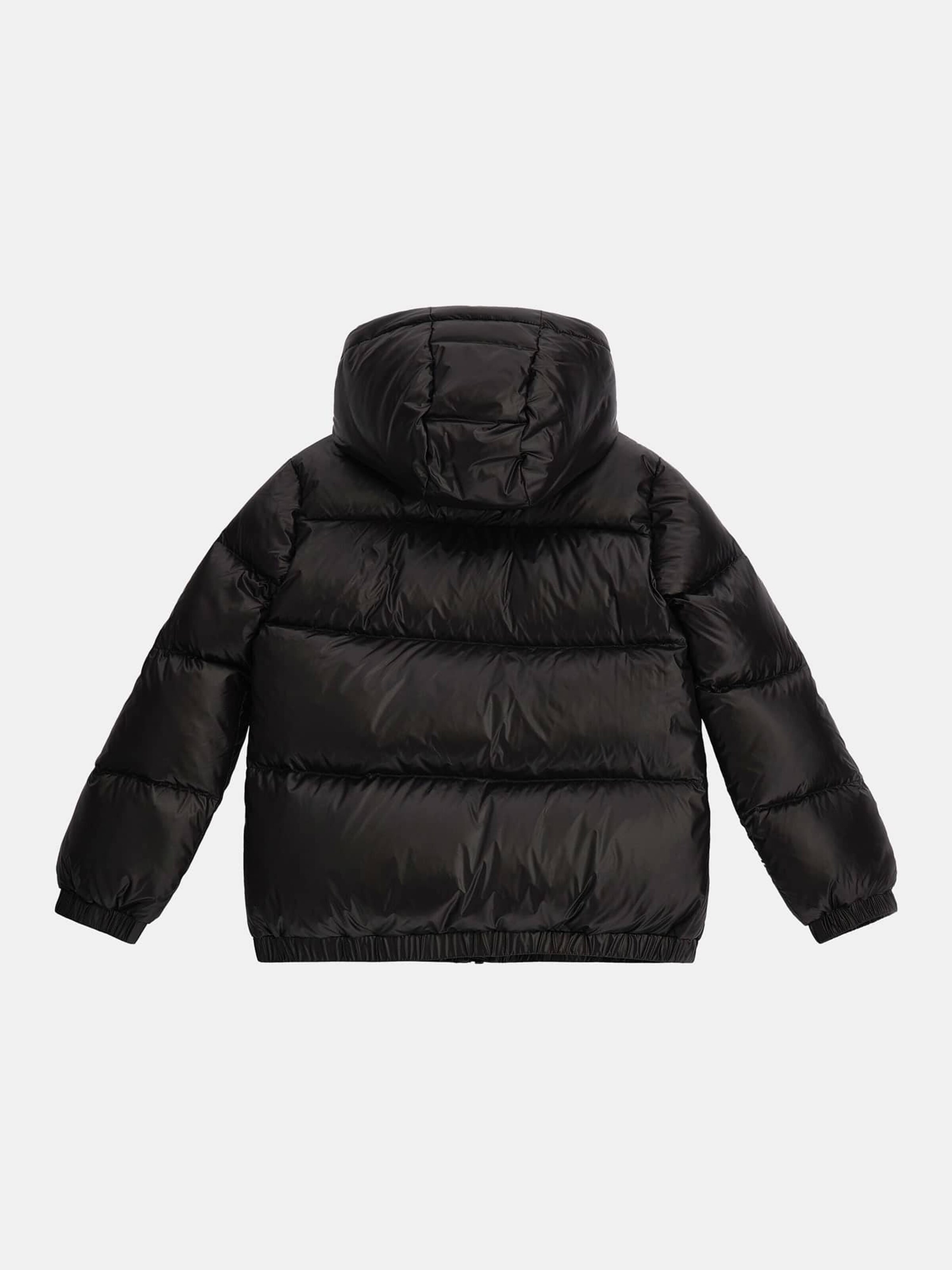 Winter Jacket