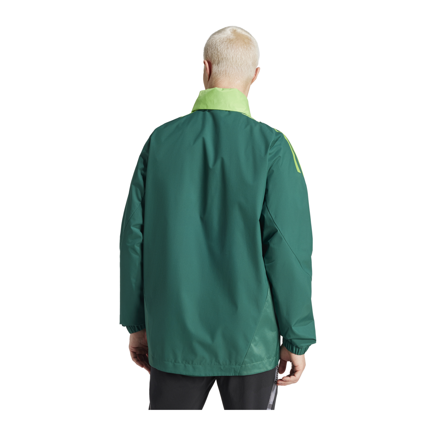 adidas Tiro 24 Competition Allwetterjacke Grün