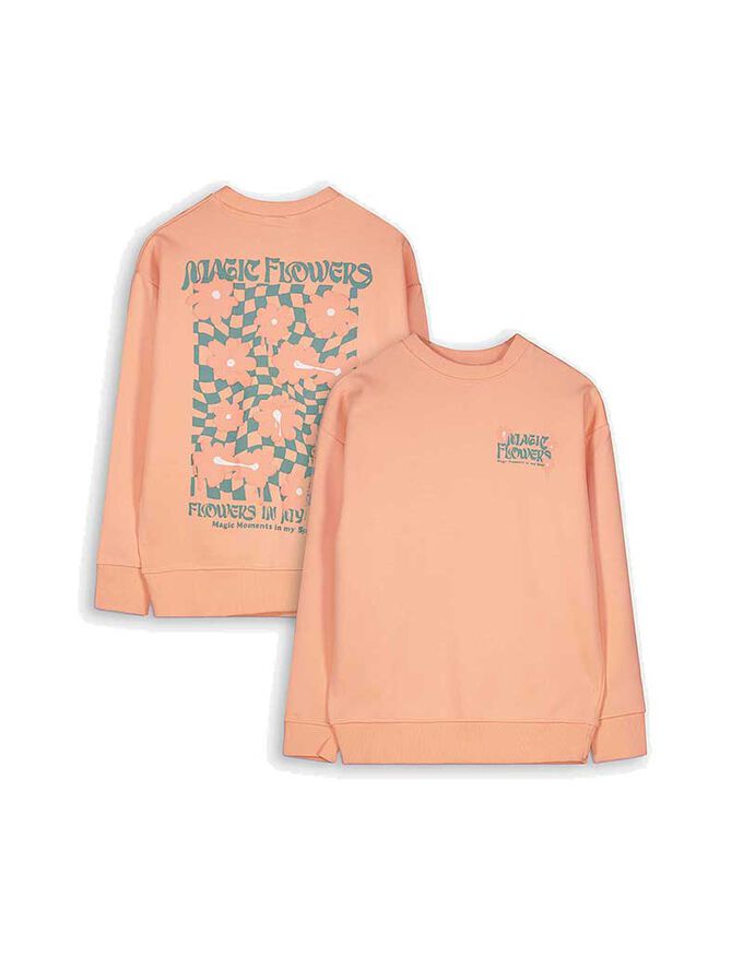 Sweatshirt - Rückenprint