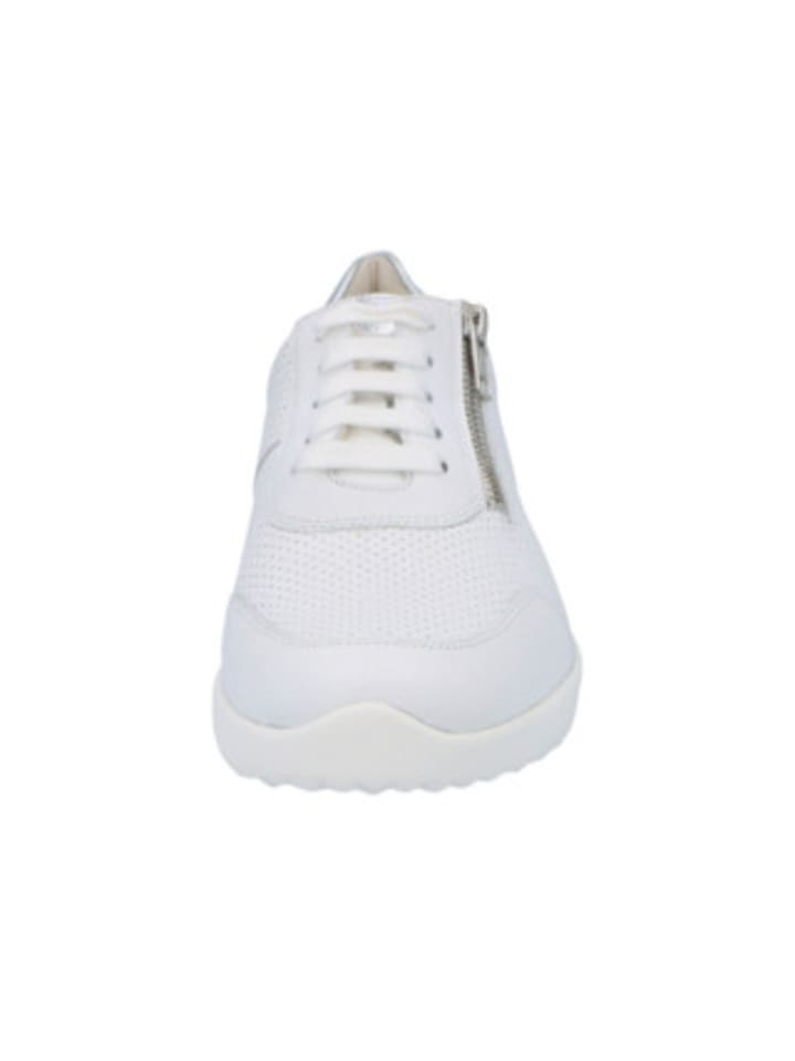 Solidus Sneaker für Damen in weiß in weiß günstig kaufen