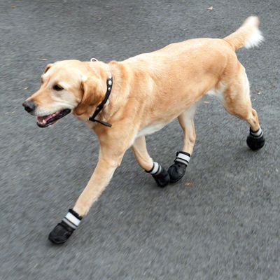 Hundeschuhe S & P Boots