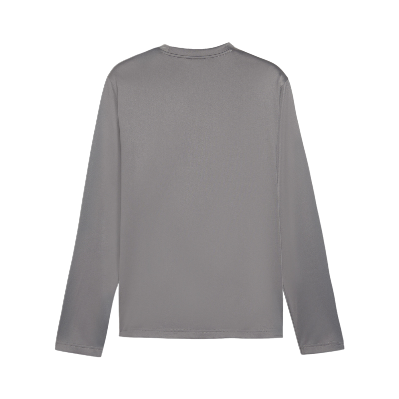 PUMA teamGOAL Training Sweatshirt Grau F13