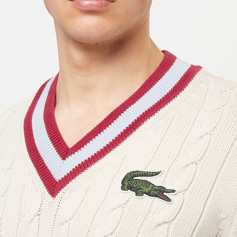 Lacoste Tricot bleu marine/vert
