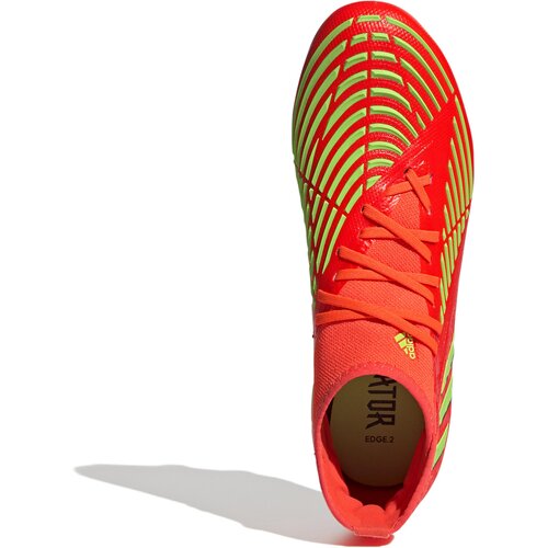 HERREN FUSSBALL-RASENSCHUHE PREDATOR EDGE.2 FG