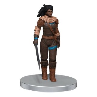 D&D Voices of the Realms Miniaturen: Band of Heroes (pre-painted)
