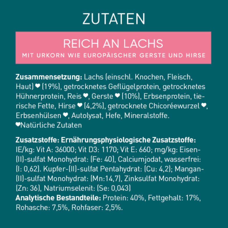 Purina ONE Trockenfutter Purina ONE Wild Sense Reich an Lachs 400 g