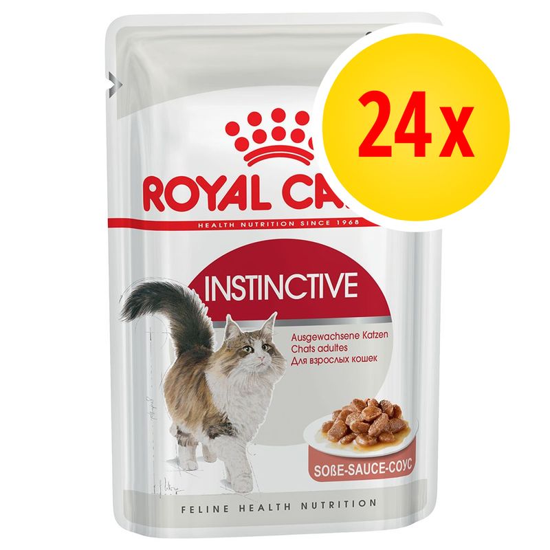 Sparpaket Royal Canin Pouch 24 x 85 g zu TOP-Preisen | bitiba %