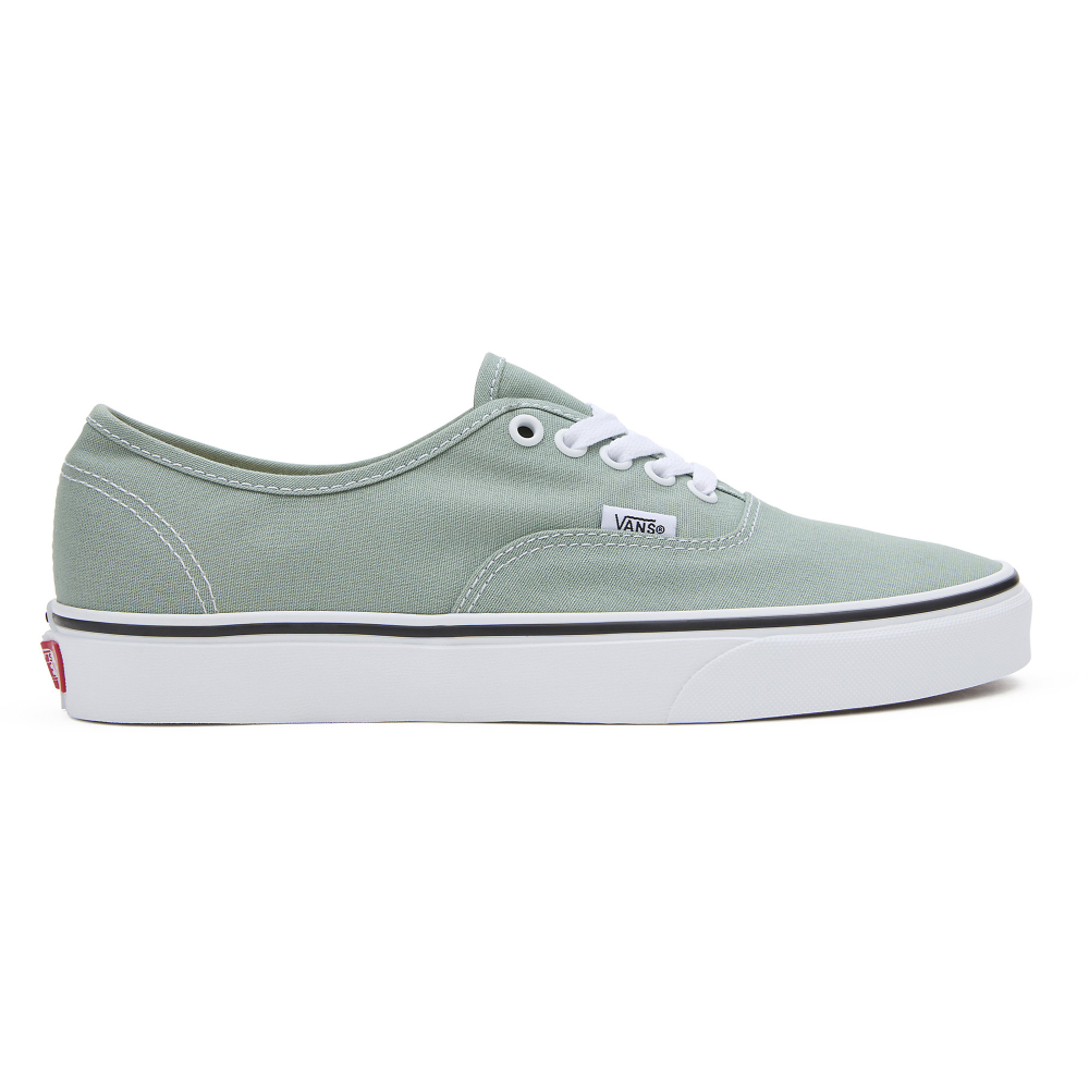 Vans Authentic VN000BW5CJL / grün