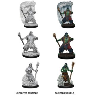 Water Genasi Male Druid: Nolzurs Marvelous Unpainted Minis