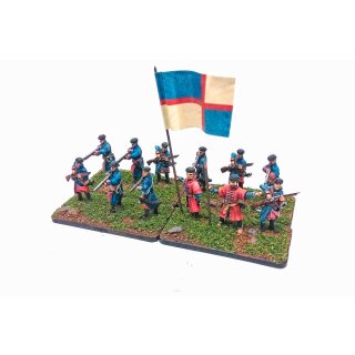Polish-Hungarian infantry with muskets