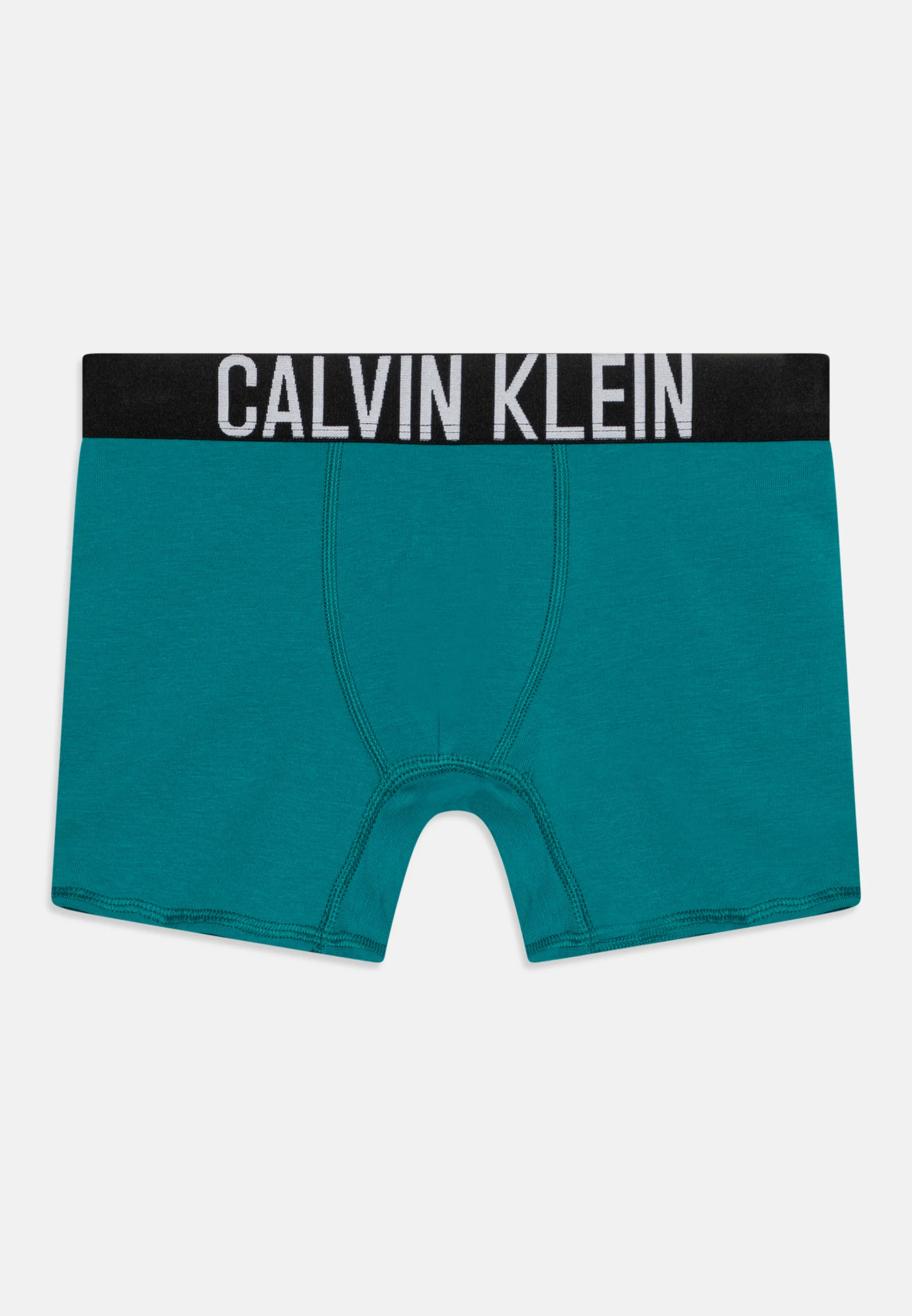 Calvin Klein Underwear BOXER BRIEF PACK DE 2 - Culotte