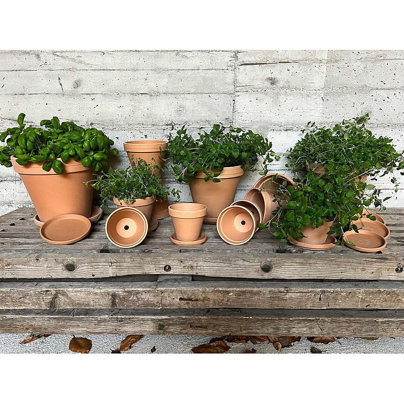 Home Skål Terra classic ø 22,1 cm