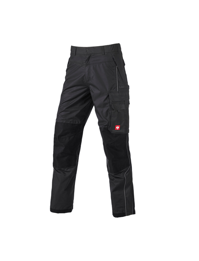 Funktionsbundhose e.s.prestige