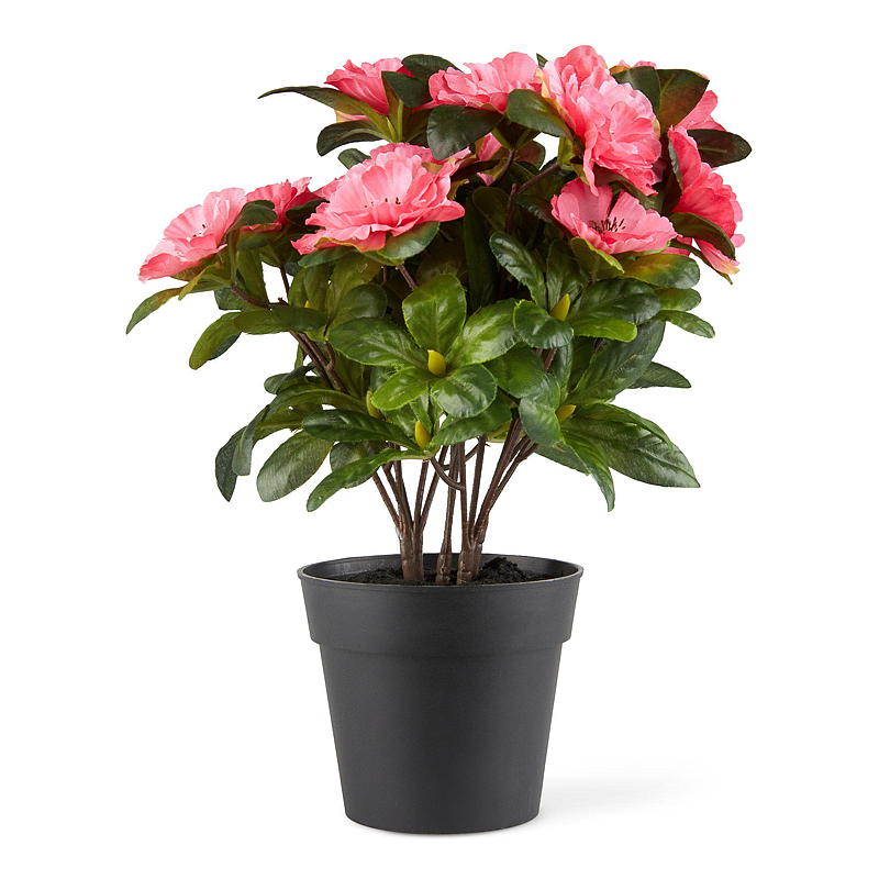 Home Belgisk Azalea 25 cm kunstig