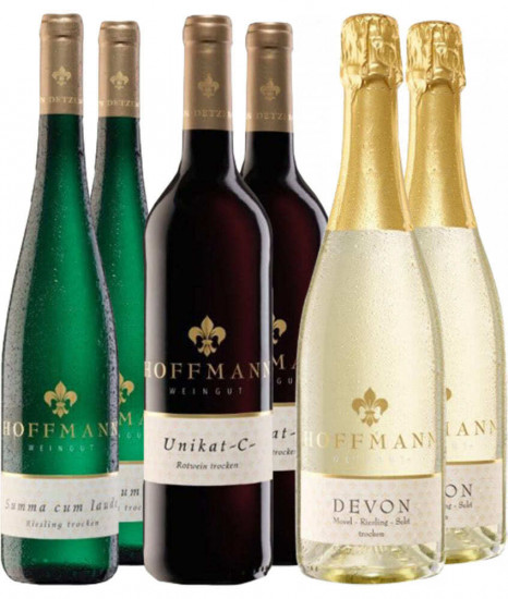 Prämiertes Weinprobierpaket - Weingut Hoffmann