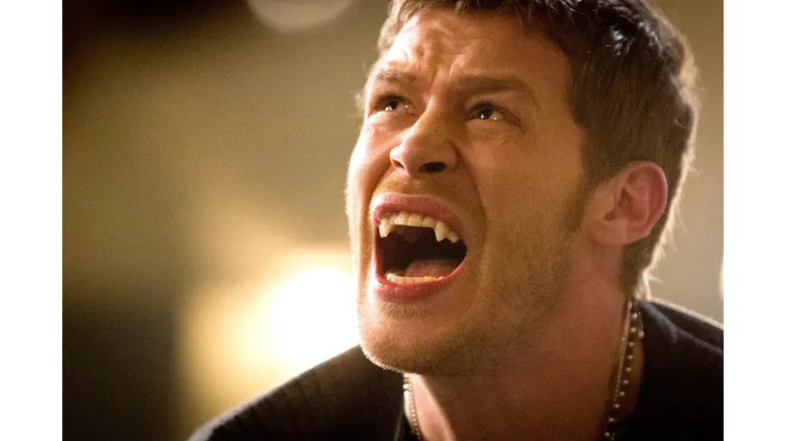 The Originals -  Die komplette Staffel 1  [5 DVDs]