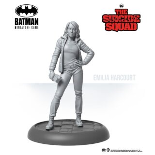Amanda Waller's Command Team