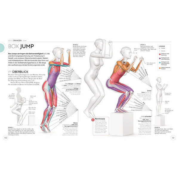 LAUFTRAINING - DIE ANATOMIE VERSTEHEN - Sportratgeber