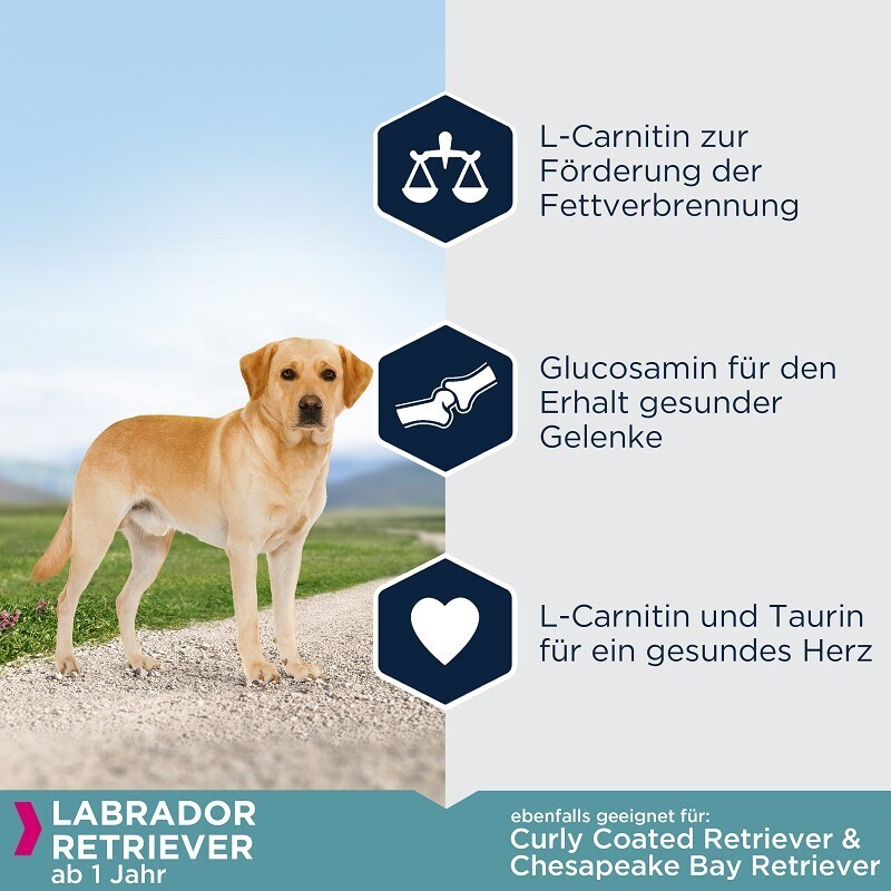 EUKANUBA Hundetrockenfutter EUKANUBA Breed Specific Labrador Retriever 12 kg