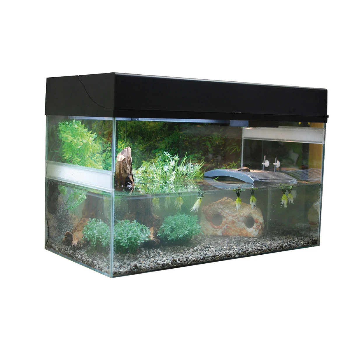 Lucky Reptile Terrarium Starter Kit 80 cm 