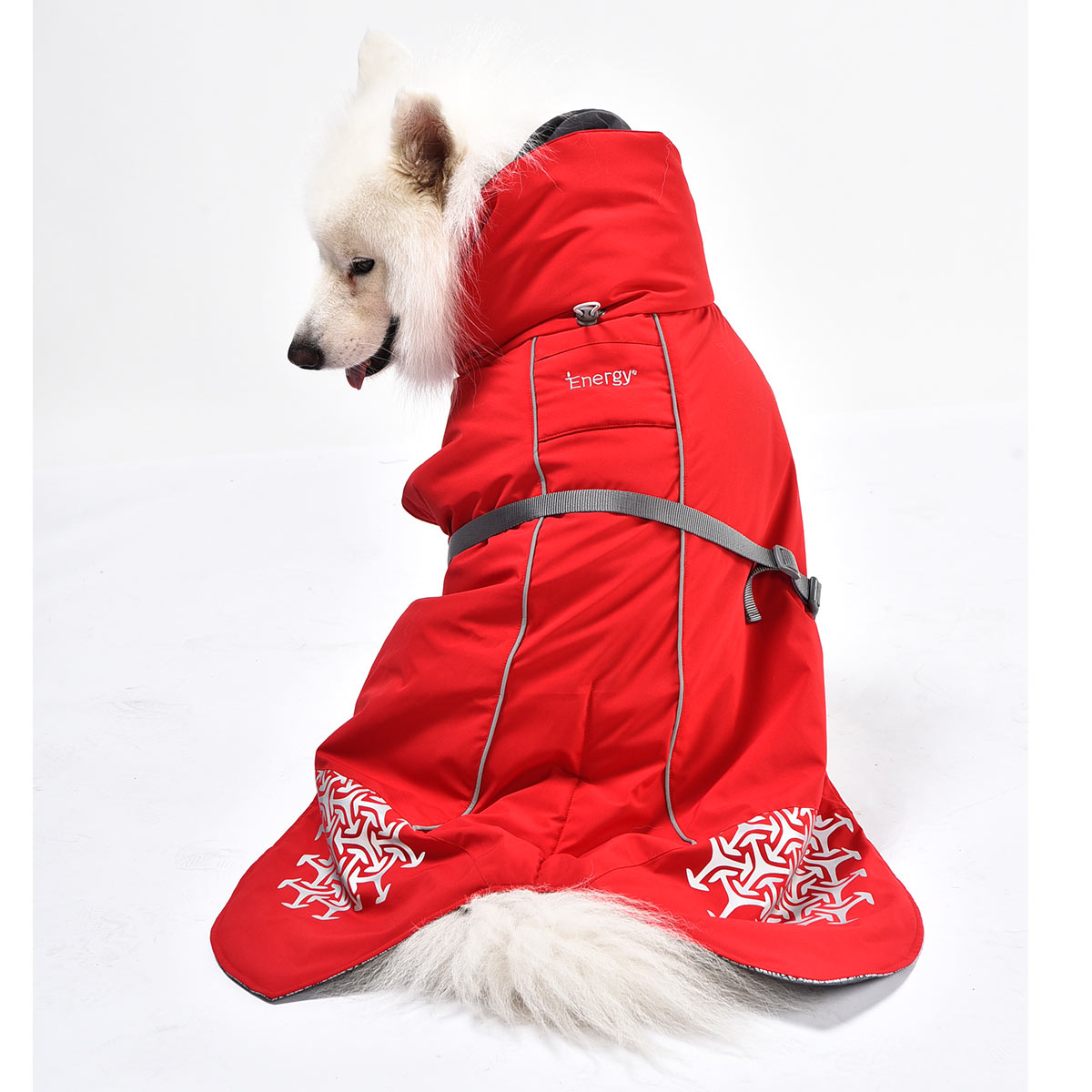 iEnergy JUD Hundewintermantel günstig kaufen bei ZooRoyal