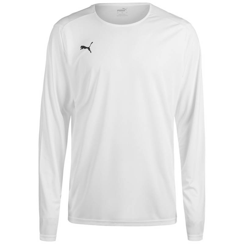 PUMA Hoops Team Langarmshirt Herren