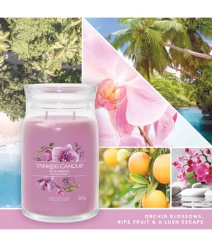 Yankee Candle Wild Orchid Duftkerze-368 g
