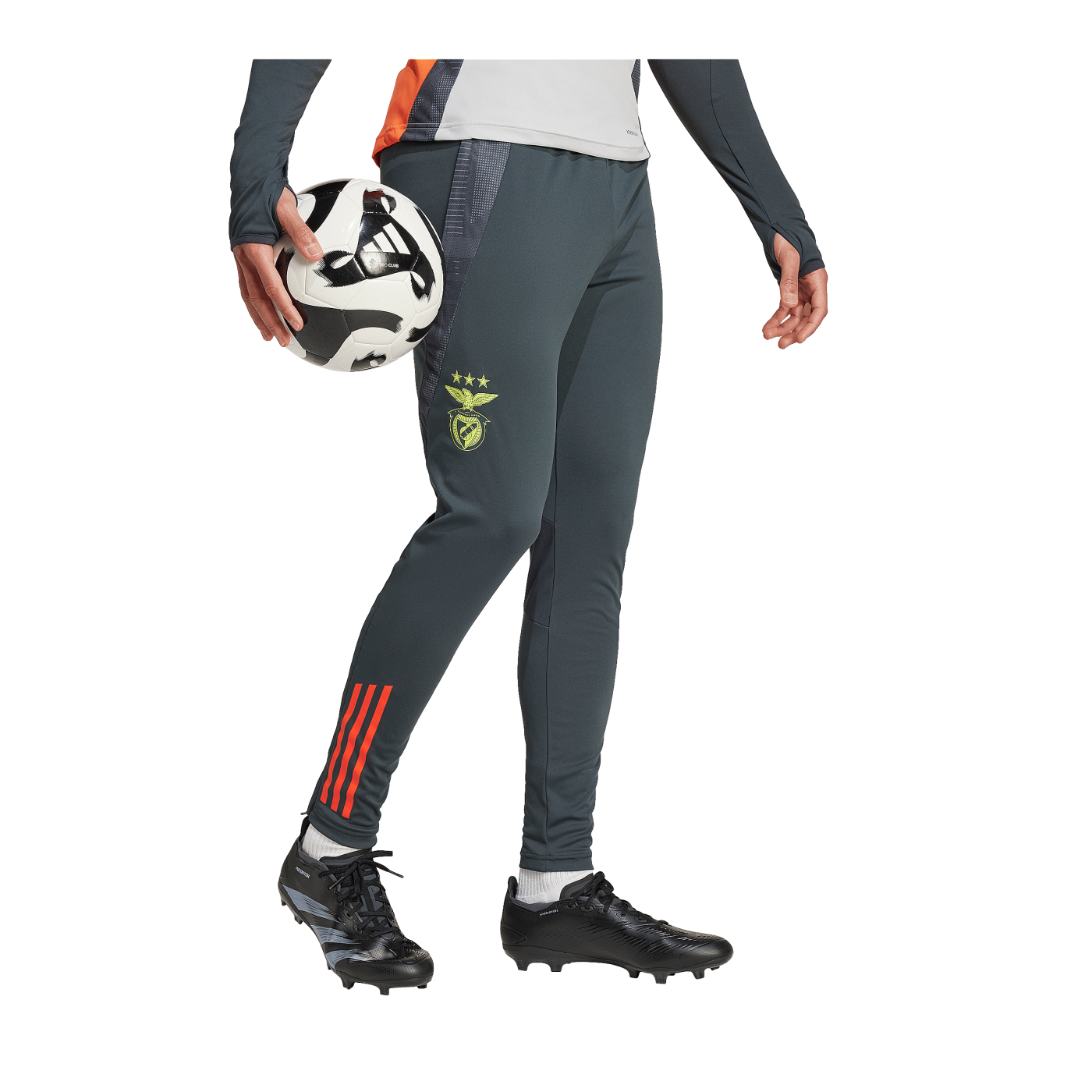 adidas Benfica Lissabon Trainingshose Grau