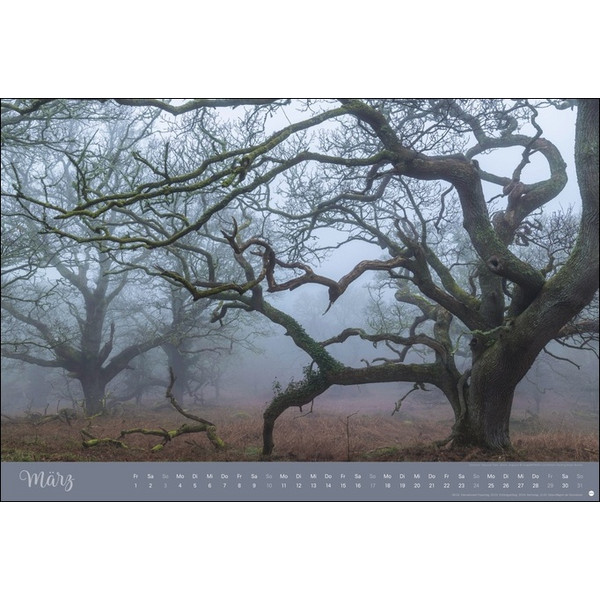 ZAUBERWÄLDER EDITION KALENDER 2024. WANDKALENDER XL - Kalender