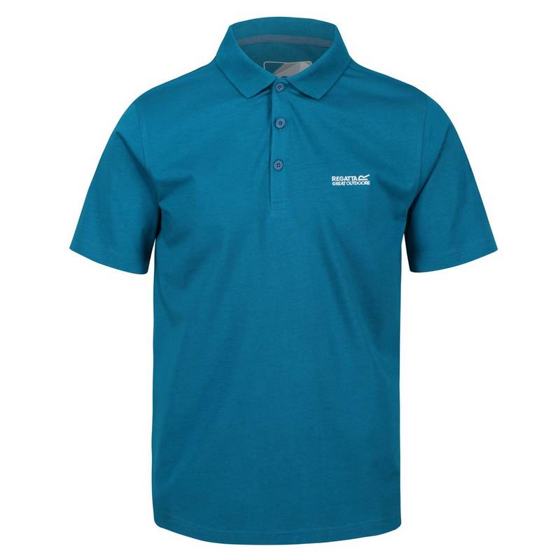 Regatta Sinton Poloshirt Herren