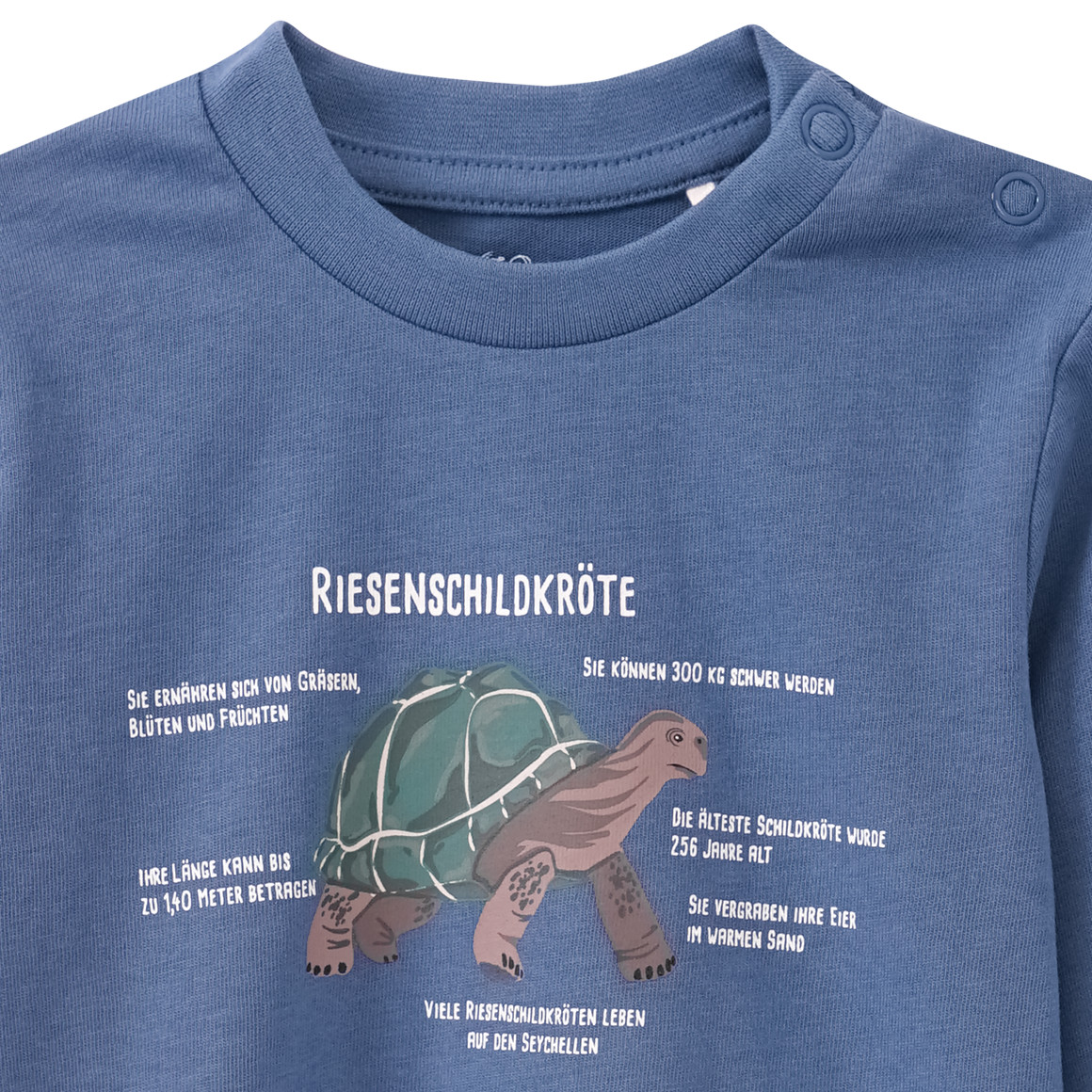 Baby Langarmshirt mit Schildkröten-Print