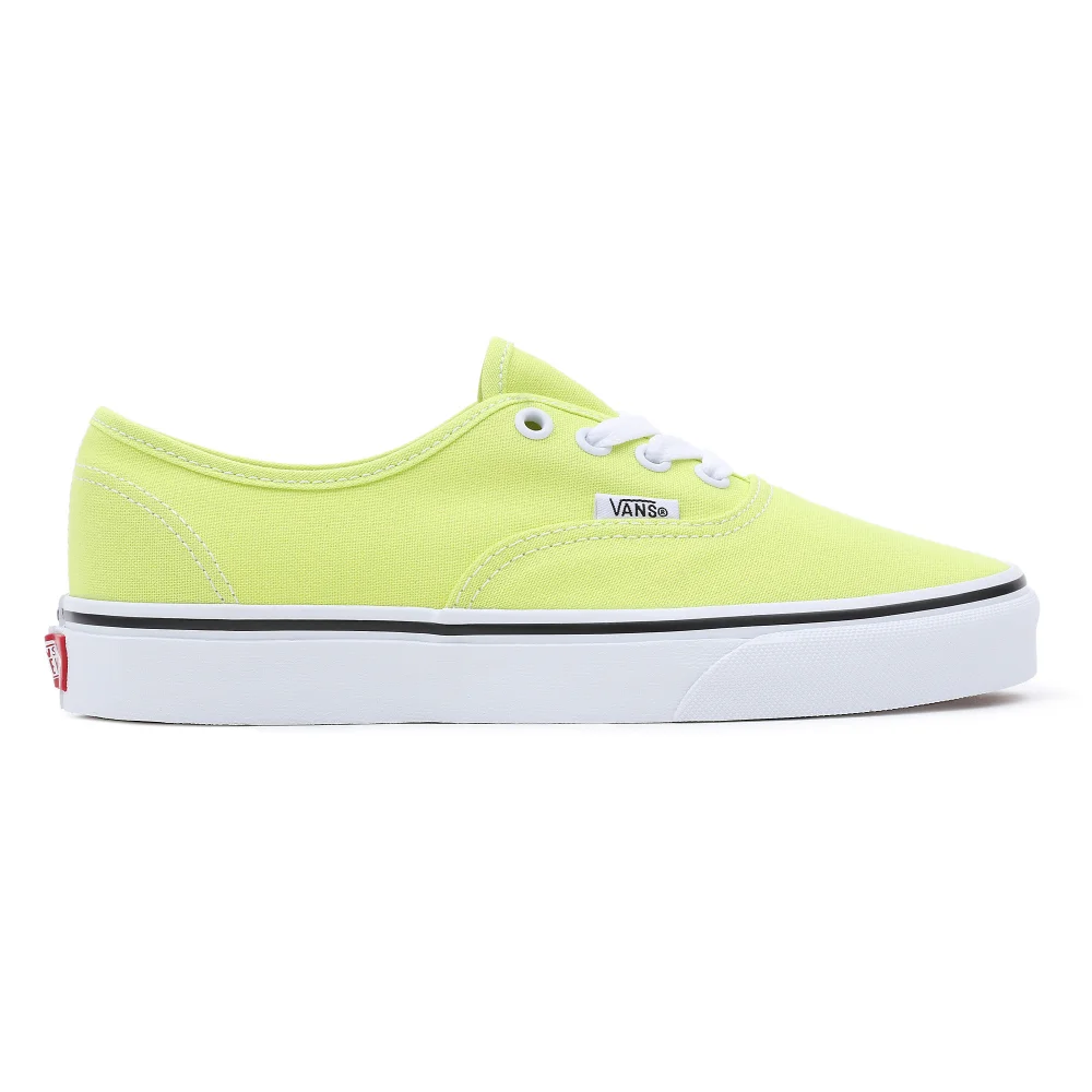 Vans Color Theory Authentic VN0A5KS9ZUD1 / grün