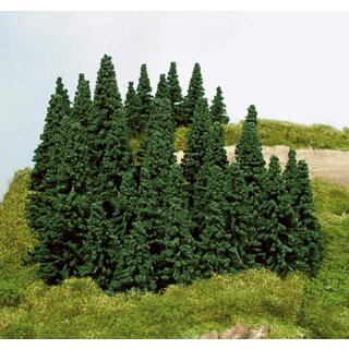 Steckfichten 5-14 cm (100)