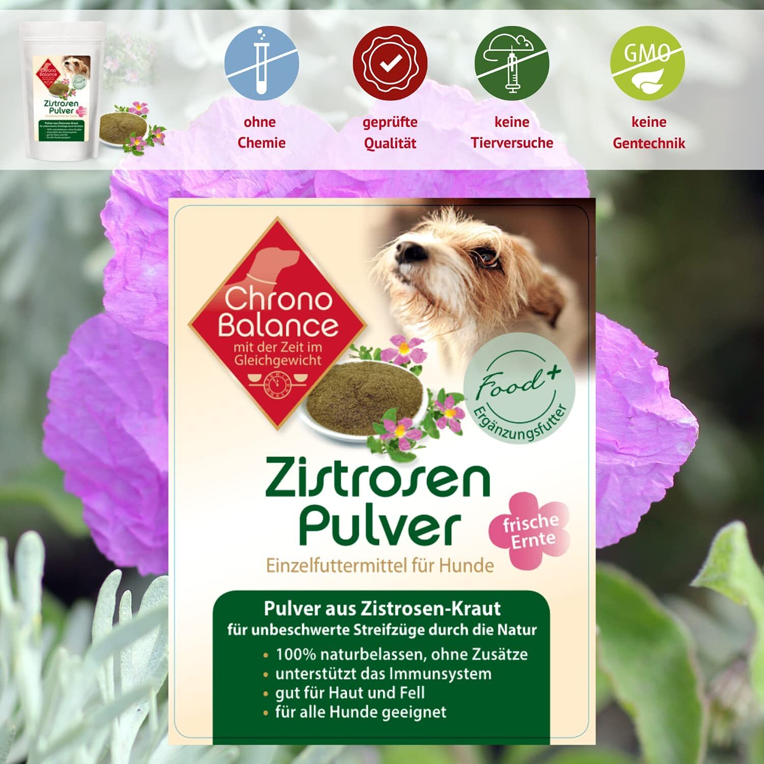 ChronoBalance Ergänzungsfutter & Aufzucht ChronoBalance Zistrosen-Pulver 100 g