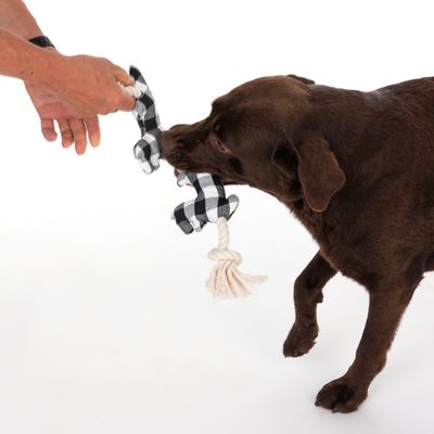 TIAKI Hundspielzeug Rentiere an Tau