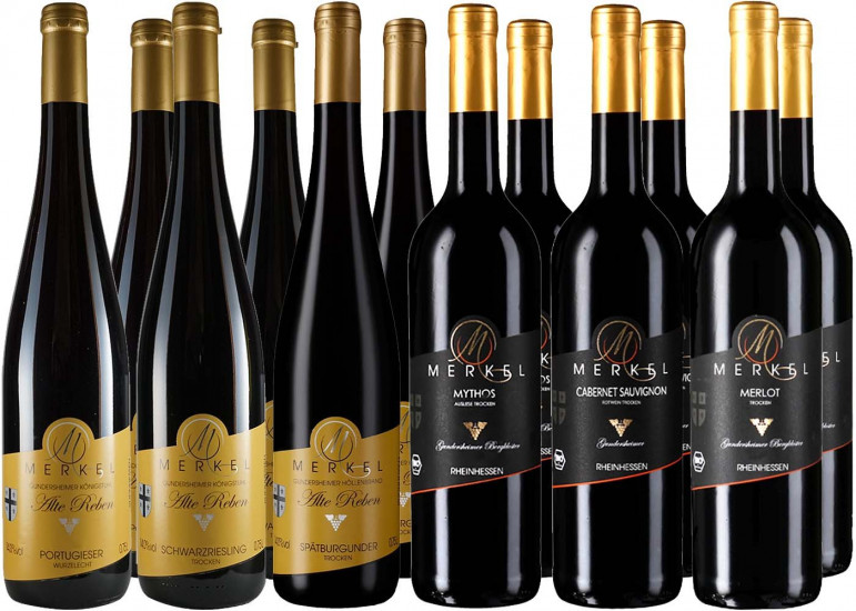 Großes Rotweinpaket trocken BIO- Weingut Burgunderhof Merkel