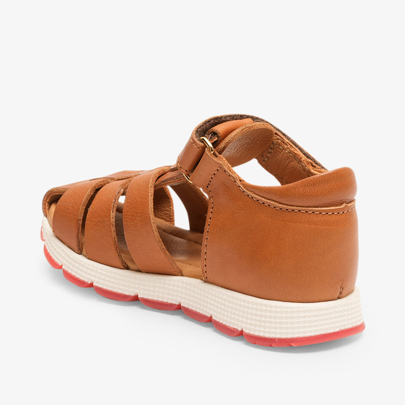 elva cognac - Braun